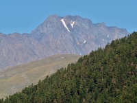 Charakteristické ekosystémy - hory vyšší než 4000 m