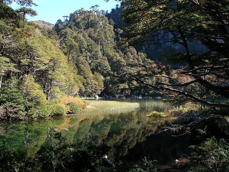 Huerquehue National Park 