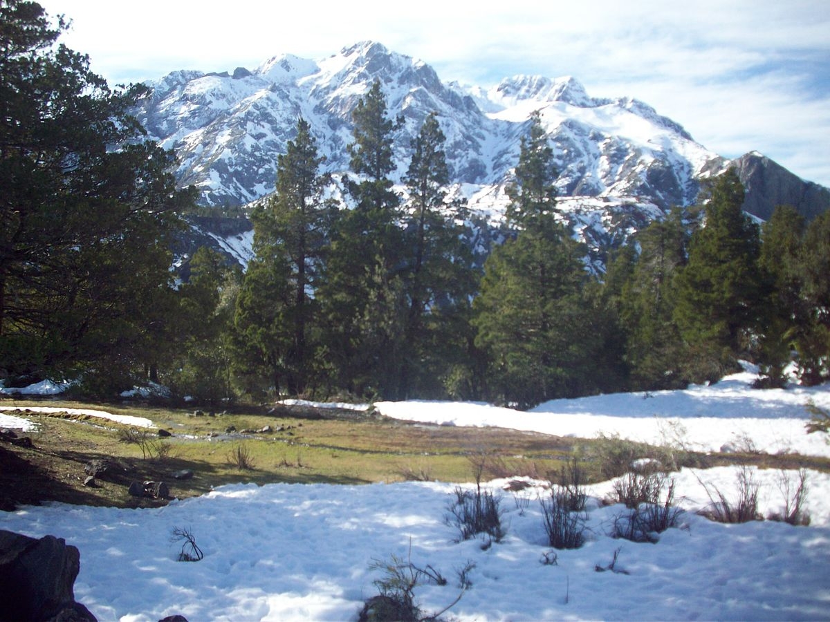 Laguna del Laja National Park