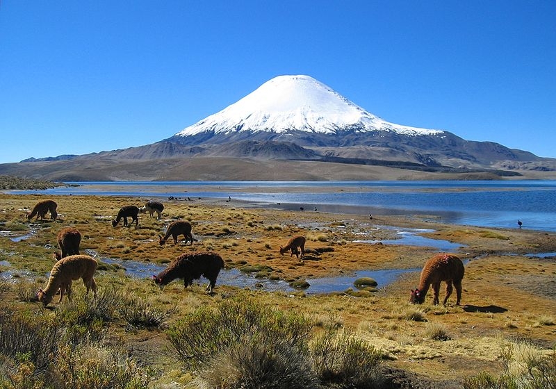 Lauca National Park 