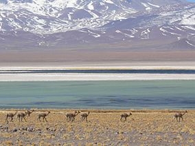 Nevado Tres Cruces