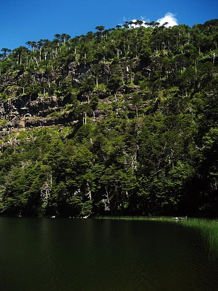 Tolhuaca National Park 