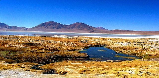 Salar de Huasco National Park 