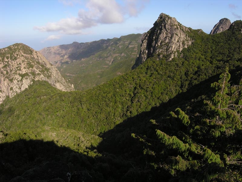 Garajonay National Park Garajonay National Park