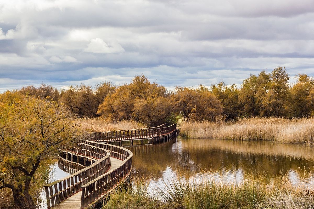 Tablas de Daimiel National Park Tablas de Daimiel National Park