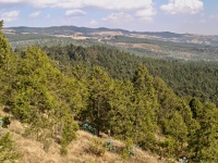 Charakteristické ekosystémy - horský les