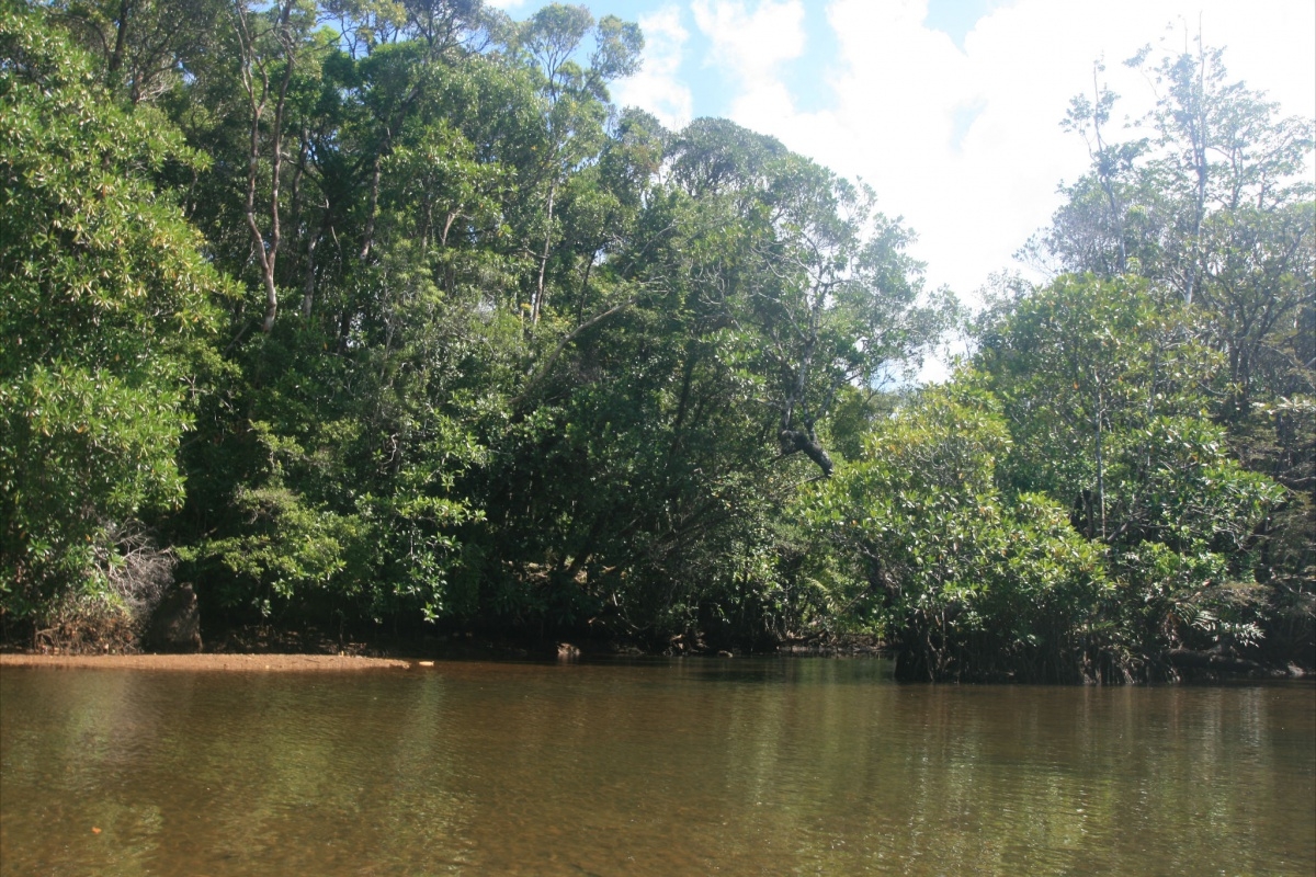 Masoala National Park Masoala National Park