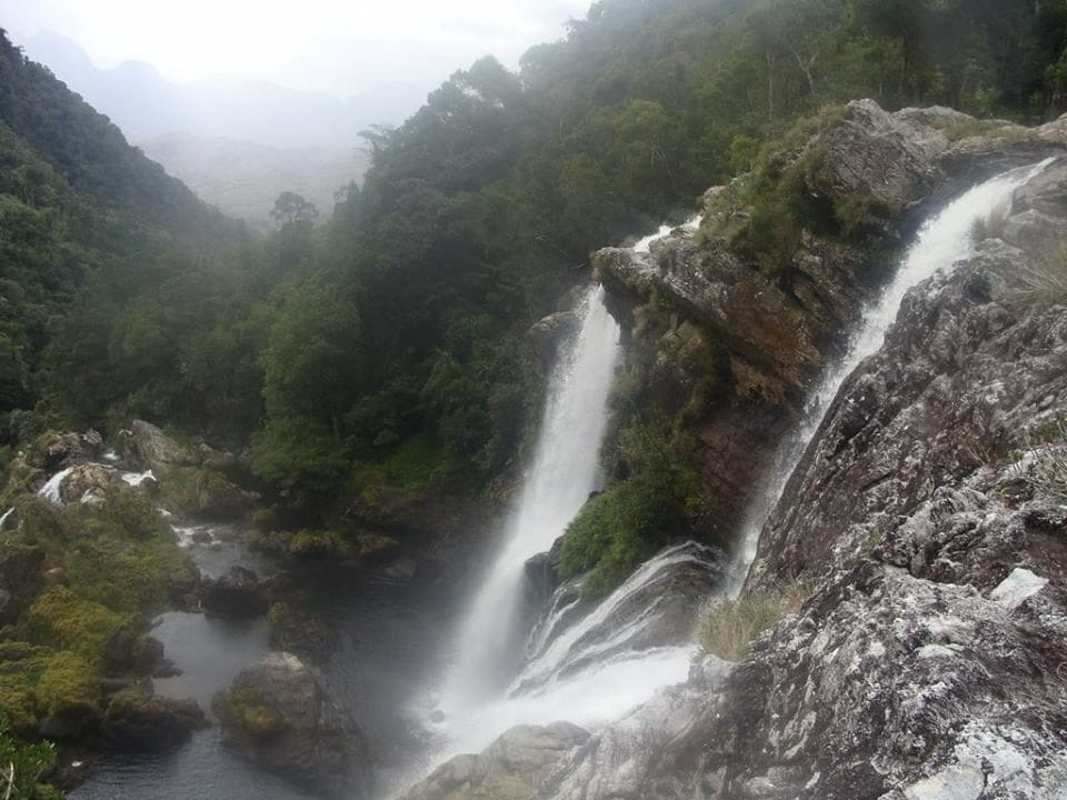 Midongy du Sud National Park Midongy du Sud National Park
