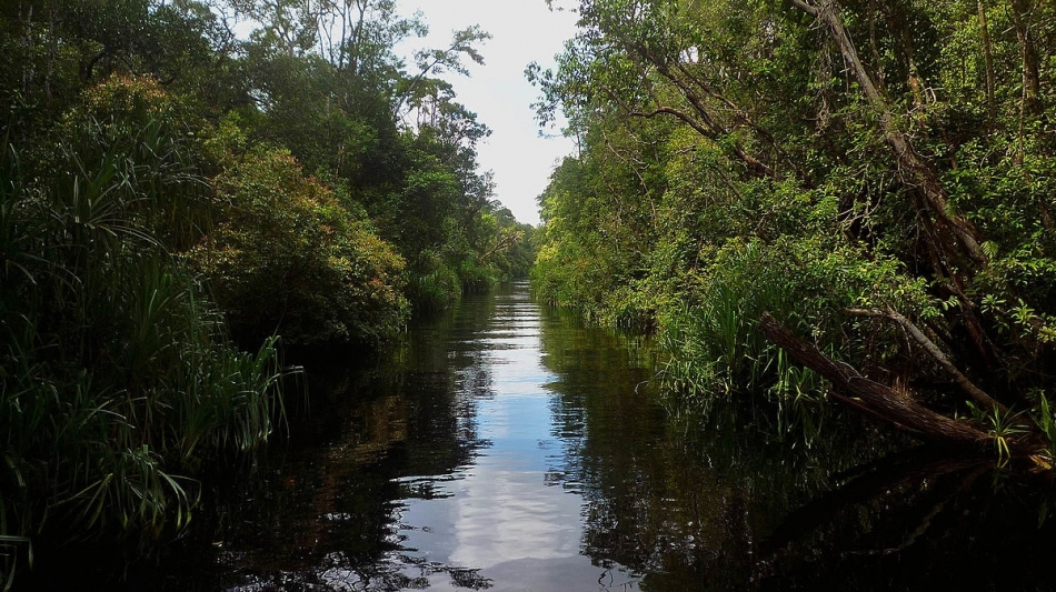 Freshwater Ecosystems